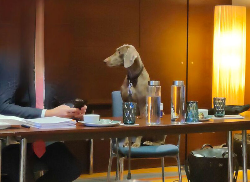 Burkhard Philipp von Harder is Winner & nominee of the 17th International Color Award